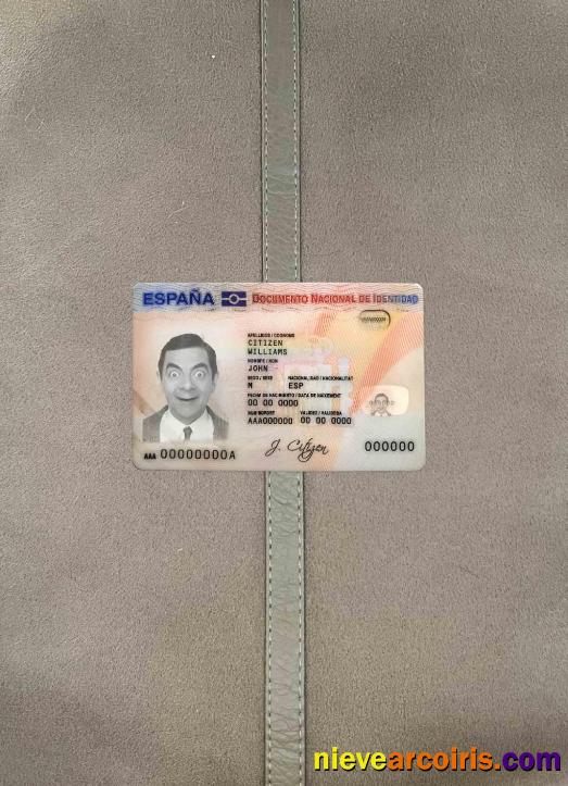 Spain ID photolook